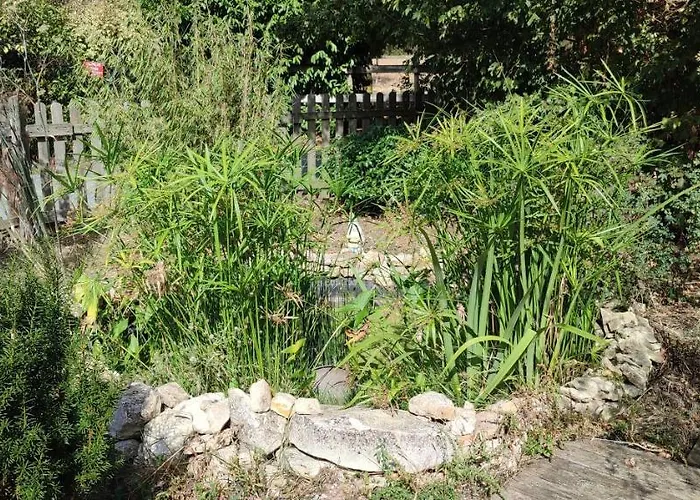 Ici C'est Le Marais Poitevin *